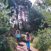 Rhubarb and Runner Beans 2