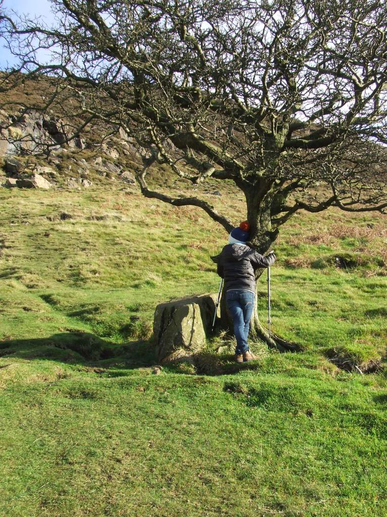 HUGGING THE FAIRY TREE ON SLEMISH