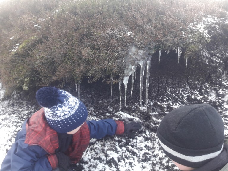 Icicles - Ott Track.jpg