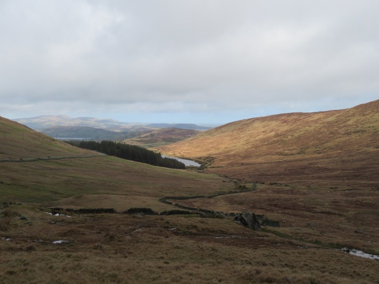 View from Ott Track to Fofanny Reservoir