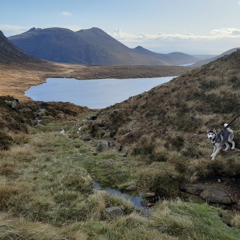 Kai at Lough Shannagh